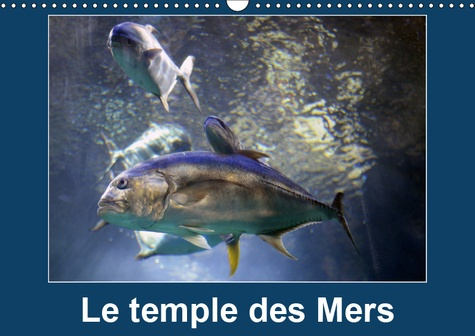 LE TEMPLE DES MERS (CALENDRIER MURAL 2019 DIN A3 HORIZONTAL) - SITUE SUR LE ROCHER DE MONACO, LE MUS