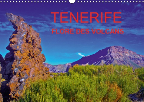 TENERIFE FLORE DES VOLCANS (CALENDRIER MURAL 2019 DIN A3 HORIZONTAL) - DES CHAMPS DE LAVE BARIOLES D