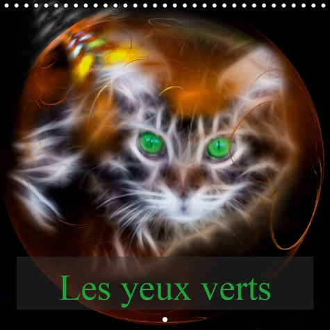 LES YEUX VERTS (CALENDRIER MURAL 2019 300 * 300 MM SQUARE) - PORTRAITS DE CHATS MAINE COON (CALENDRI