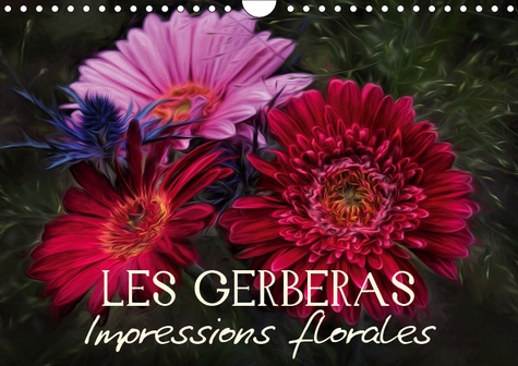 LES GERBERAS IMPRESSIONS FLORALES (CALENDRIER MURAL 2019 DIN A4 HORIZONTAL) - EGAYEZ VOTRE QUOTIDIEN