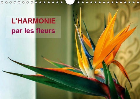 L'HARMONIE PAR LES FLEURS (CALENDRIER MURAL 2019 DIN A4 HORIZONTAL) - ARRETONS-NOUS UN INSTANT POUR