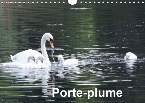 PORTE-PLUME (CALENDRIER MURAL 2019 DIN A4 HORIZONTAL) - LES OISEAUX DE NOS ETANGS, LACS ET COURS D'E