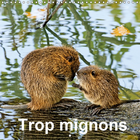 TROP MIGNONS (CALENDRIER MURAL 2019 300 * 300 MM SQUARE) - DE PETITS ET JEUNES ANIMAUX TROP MIGNONS
