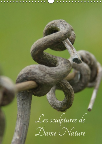 LES SCULPTURES DE DAME NATURE (CALENDRIER MURAL 2019 DIN A3 VERTICAL) - TOUTES LES BEAUTEE DE LA NAT