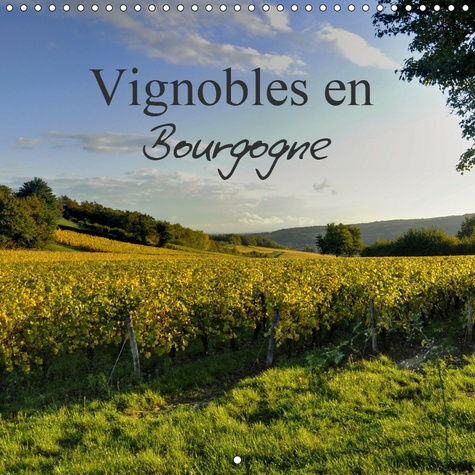 VIGNOBLES EN BOURGOGNE (CALENDRIER MURAL 2019 300 * 300 MM SQUARE) - MAGNIFIQUE REGION REPUTEE DANS