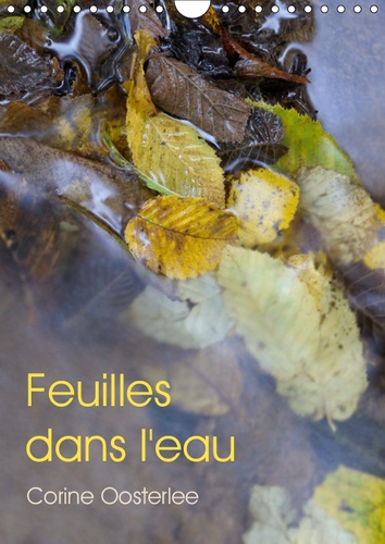 FEUILLES DANS L'EAU (CALENDRIER MURAL 2019 DIN A4 VERTICAL) - ECLATS DE LUMIERE SUR LES FEUILLES INO