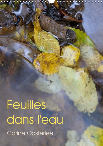 FEUILLES DANS L'EAU (CALENDRIER MURAL 2019 DIN A3 VERTICAL) - ECLATS DE LUMIERE SUR LES FEUILLES INO