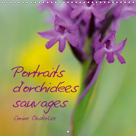 PORTRAITS D'ORCHIDEES SAUVAGES (CALENDRIER MURAL 2019 300 * 300 MM SQUARE) - LES PLUS BELLES DES FLE