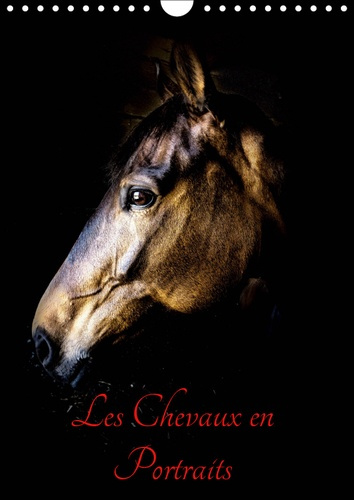CHEVAUX EN PORTRAITS (CALENDRIER MURAL 2019 DIN A4 VERTICAL) - PORTRAITS DE CHEVAUX EN LIBERTE ET ST
