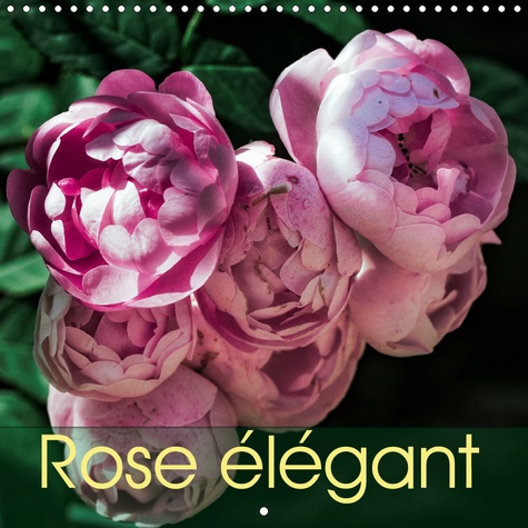ROSE ELEGANT (CALENDRIER MURAL 2019 300 * 300 MM SQUARE) - ROSE ELEGANT VOUS EMMENE DANS UN VOYAGE A