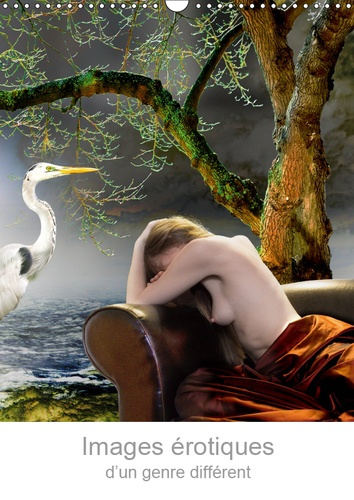 IMAGES EROTIQUES D'UN GENRE DIFFERENT (CALENDRIER MURAL 2019 DIN A3 VERTICAL) - REVERIES POETIQUES E