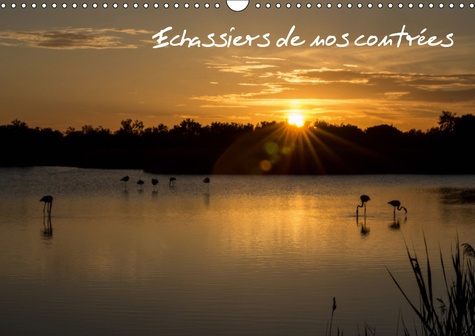 ECHASSIERS DE NOS CONTREES (CALENDRIER MURAL 2019 DIN A3 HORIZONTAL) - DES OISEAUX EN PLEINE NATURE.