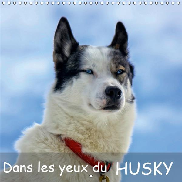 DANS LES YEUX DU HUSKY (CALENDRIER MURAL 2019 300 * 300 MM SQUARE) - LE CHIEN HUSKY AIME COURIR, LE
