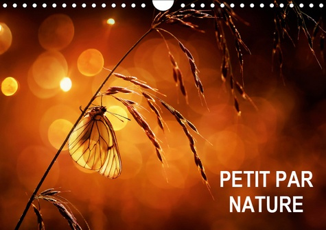 PETIT PAR NATURE (CALENDRIER MURAL 2019 DIN A4 HORIZONTAL) - SELECTION DE PHOTOGRAPHIES MACRO (CALEN