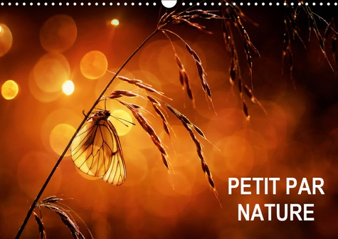 PETIT PAR NATURE (CALENDRIER MURAL 2019 DIN A3 HORIZONTAL) - SELECTION DE PHOTOGRAPHIES MACRO (CALEN