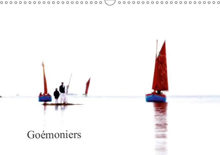 GOEMONIERS (CALENDRIER MURAL 2019 DIN A3 HORIZONTAL) - LES VIEUX GREEMENTS ONT A NOUVEAU LA COTE AVE