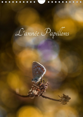 L'ANNEE PAPILLONS (CALENDRIER MURAL 2019 DIN A4 VERTICAL) - CALENDRIER ILLUSTRE AYANT POUR THEME LES