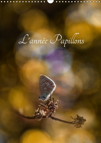 L'ANNEE PAPILLONS (CALENDRIER MURAL 2019 DIN A3 VERTICAL) - CALENDRIER ILLUSTRE AYANT POUR THEME LES