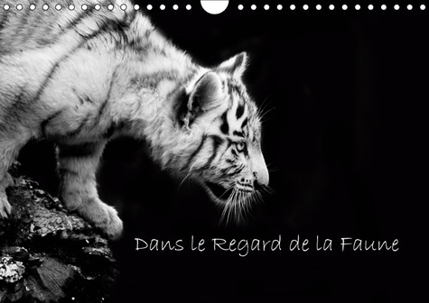 DANS LE REGARD DE LA FAUNE (CALENDRIER MURAL 2019 DIN A4 HORIZONTAL) - DECOUVREZ DE MAGNIFIQUES PORT