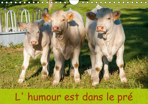 L'HUMOUR EST DANS LE PRE (CALENDRIER MURAL 2019 DIN A4 HORIZONTAL) - PHOTO DE BOVINS (CALENDRIER MEN