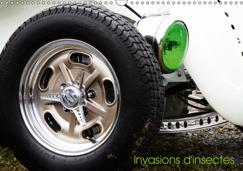 INVASION D'INSECTES (CALENDRIER MURAL 2019 DIN A3 HORIZONTAL) - UN CALENDRIER POUR LES PASSIONNES DE