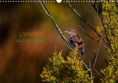 L'ANNEE DES OISEAUX (CALENDRIER MURAL 2019 DIN A3 HORIZONTAL) - CALENDRIER REGROUPANT QUELQUES OISEA