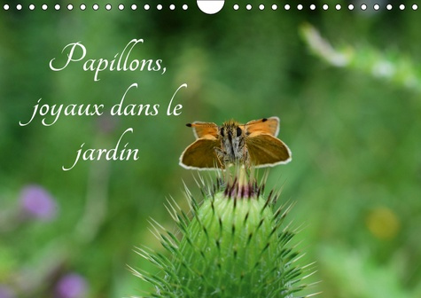 PAPILLONS, JOYAUX DANS LE JARDIN (CALENDRIER MURAL 2019 DIN A4 HORIZONTAL) - DES PAPILLONS DANS LES