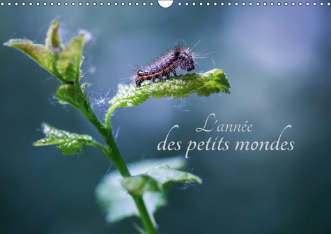 L'ANNEE DES PETITS MONDES (CALENDRIER MURAL 2019 DIN A3 HORIZONTAL) - A LA DECOUVERTE DES INSECTES D