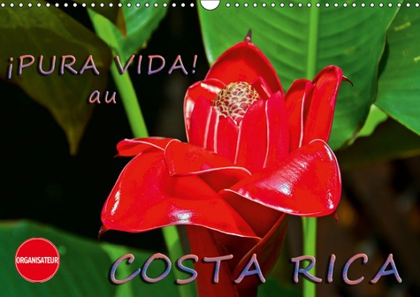 PURA VIDA!  AU COSTA RICA (CALENDRIER MURAL 2019 DIN A3 HORIZONTAL) - COSTA RICA - UN PAYS MERVEILL