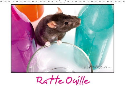 RATTE OUILLE (CALENDRIER MURAL 2019 DIN A3 HORIZONTAL) - GENTILLE MURIDEE (CALENDRIER MENSUEL, 14 PA