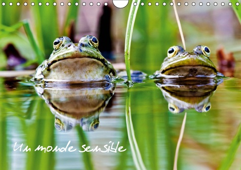 UN MONDE SENSIBLE (CALENDRIER MURAL 2019 DIN A4 HORIZONTAL) - EN MACRO OU AU TELEZOOM, DIVERS ANIMAU