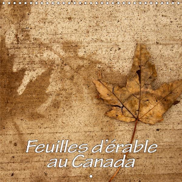 FEUILLES D'ERABLE AU CANADA (CALENDRIER MURAL 2019 300 * 300 MM SQUARE) - LA BEAUTE DES FEUILLES D'E