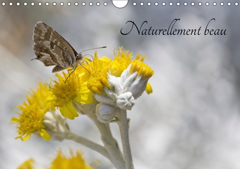 NATURELLEMENT BEAU (CALENDRIER MURAL 2019 DIN A4 HORIZONTAL) - UN OEIL ATTENTIF SUR LA NATURE PEUT D