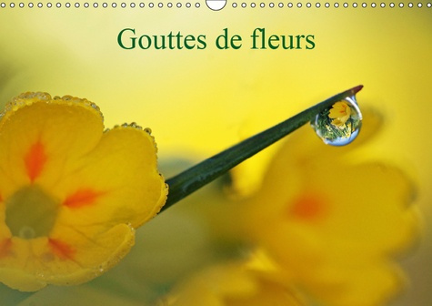 GOUTTES DE FLEURS (CALENDRIER MURAL 2019 DIN A3 HORIZONTAL) - PHOTOS MACRO DE GOUTTES DE FLEURS (CAL