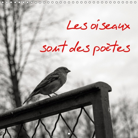 LES OISEAUX SONT DES POETES (CALENDRIER MURAL 2019 300 * 300 MM SQUARE) - UN REGARD POETIQUE SUR LES