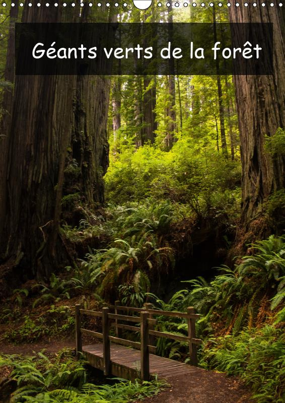 GEANTS VERTS DE LA FORET (CALENDRIER MURAL 2019 DIN A3 VERTICAL) - ARBRES ANCIENS ET FORET TROPICALE