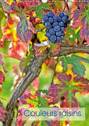 COULEURS RAISINS (CALENDRIER MURAL 2019 DIN A3 VERTICAL) - GRAPPES DE RAISINS (CALENDRIER MENSUEL, 1