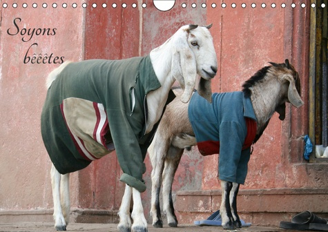 SOYONS BEEETES (CALENDRIER MURAL 2019 DIN A4 HORIZONTAL) - SOYONS BEEETES - VOYAGE ANIMALIER (CALEND