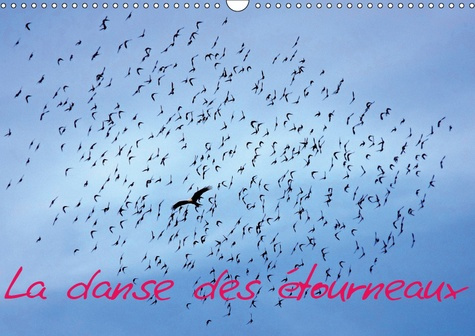 LA DANSE DES ETOURNEAUX (CALENDRIER MURAL 2019 DIN A3 HORIZONTAL) - LA MIGRATION DES ETOURNEAUX (CAL