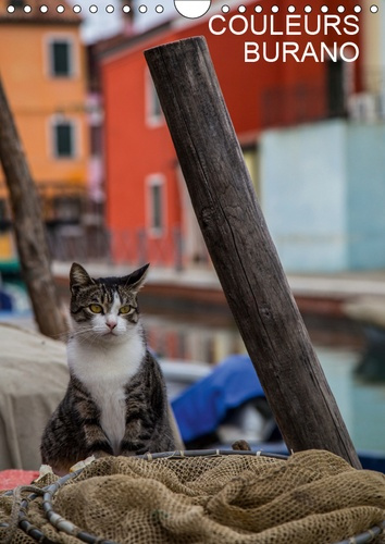 COULEURS BURANO (CALENDRIER MURAL 2019 DIN A4 VERTICAL) - UNE ILE OU LE TEMPS SEMBLE SUSPENDU (CALEN