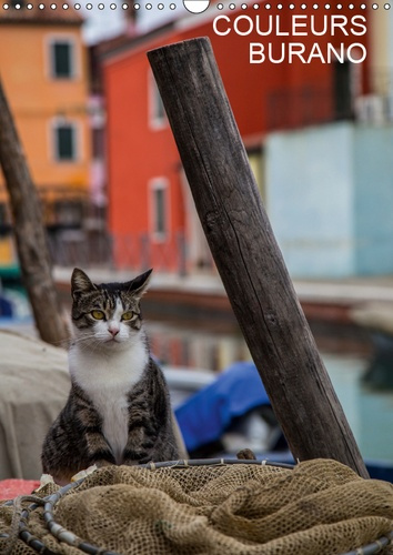 COULEURS BURANO (CALENDRIER MURAL 2019 DIN A3 VERTICAL) - UNE ILE OU LE TEMPS SEMBLE SUSPENDU (CALEN