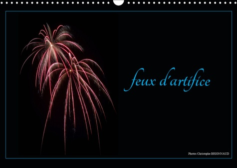 FEUX D'ARTIFICE (CALENDRIER MURAL 2019 DIN A3 HORIZONTAL) - PHOTOGRAPHIES D'ART PYROTECHNIQUE (CALEN
