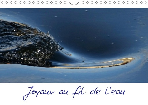 JOYAUX AU FIL DE L'EAU (CALENDRIER MURAL 2019 DIN A4 HORIZONTAL) - QUAND LA LOIRE S'HABILLE EN BLEU