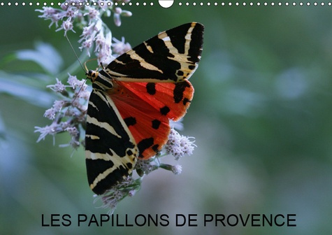 LES PAPILLONS DE PROVENCE (CALENDRIER MURAL 2019 DIN A3 HORIZONTAL) - LES BEAUX PAPILLONS AUX COULEU