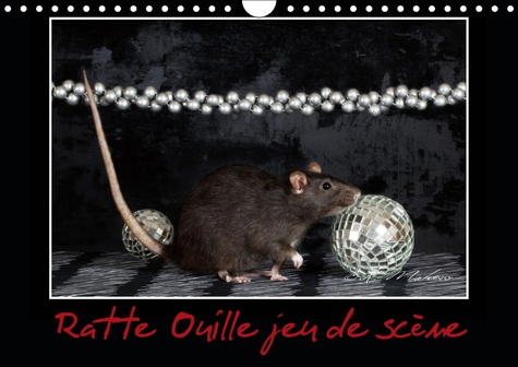 RATTE OUILLE JEU DE SCENE (CALENDRIER MURAL 2019 DIN A4 HORIZONTAL) - PETITE RATTE EN SPECTACLE. (CA