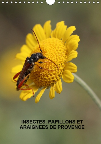 INSECTES, PAPILLONS ET ARAIGNEES DE PROVENCE (CALENDRIER MURAL 2019 DIN A4 VERTICAL) - LES INSECTES,