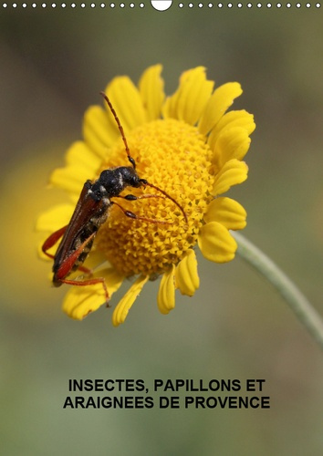 INSECTES, PAPILLONS ET ARAIGNEES DE PROVENCE (CALENDRIER MURAL 2019 DIN A3 VERTICAL) - LES INSECTES,