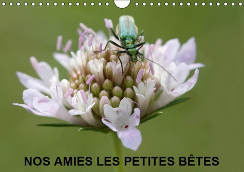 NOS AMIES LES PETITES BETES (CALENDRIER MURAL 2019 DIN A4 HORIZONTAL) - NOS AMIES QUI VIVENT DANS L'