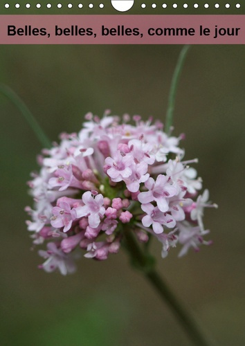 BELLES, BELLES, BELLES, COMME LE JOUR (CALENDRIER MURAL 2019 DIN A4 VERTICAL) - QUELLES SONT BELLES