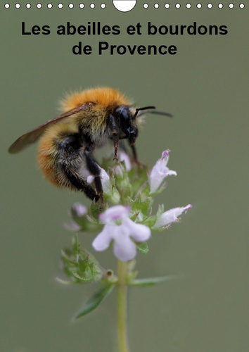 LES ABEILLES ET BOURDONS DE PROVENCE (CALENDRIER MURAL 2019 DIN A4 VERTICAL) - NOS AMIS LES ABEILLES